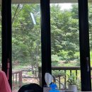 홍가네송어회 | 단양 여행 기록_day 1