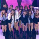 율 Daum카페