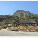 법흥사징효국사부도 | 영월 법흥사 적멸보궁