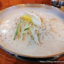 국수장이 - 원주시 원일로 132 | 여름음식 여름별미 콩국수와 오징어덮밥이 맛있는 조치원 국수장이 후기