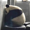 고은한의원 이미지