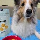 바르다펫 | 저알러지 강아지 비건간식 바르다펫 에너칩 비건야채