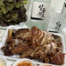 먹거리매니아 이미지