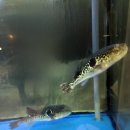 동래복집 이미지