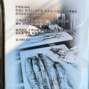 관광단지주차장 1화장실 | 서귀포여행 중문관광단지 맛집 갈치구이세트 만족한상회 중문점