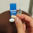 카젠 | 아보카젠정 11kg 감량 찐후기