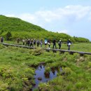 인제19-2 이미지