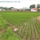 복운1리 이미지