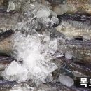 장대 이미지