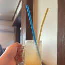 광주카서비스 | 광주 데이트 식당 광주 일식당 카키노키 솔직후기