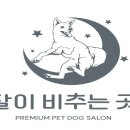 회현역(4) 이미지