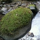 새방골산방 이미지