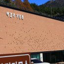 카페드안트워프 이미지