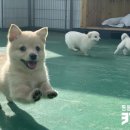 조준농장 이미지