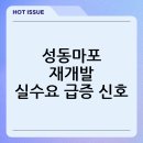 농협유통 대치점 | 서울 재개발·재건축 투자열 속 실수요자도 움직인다: 성동·마포 중심의 서울 재개발 흐름