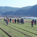 에버그린 유치원 이미지