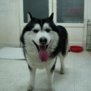 신석초교 이미지