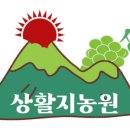 샤인통신 이미지