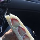 토스트집(TOASTZIP)