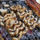마실계절맛집 이미지