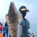 킹콩낚시 이미지