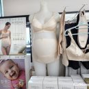 베이비플러스 이미지