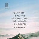 5월30일 청라호수공원 (대통령선거 사전투표소) / 인천대공원 이미지
