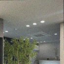 에그뮤즈스킨스칼프