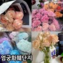 장미3단지경로당 | 부산 엄궁화훼단지 꽃시장 주차장 휴무일 가격 카네이션 생화 구매 후기