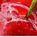 소답동118 이미지