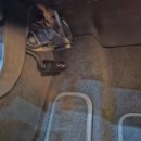 은천동-30 이미지