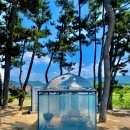 서천 바닷가 갯벌 이미지