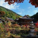 날마다좋은날 - 순천시 | 날마다좋은날