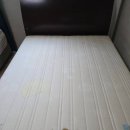 파주 매트리스 청소 반려동물 얼룩 관리까지 꼼꼼했던 비치움퍼펙트홈케어 후기