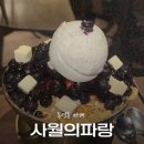 파랑달협동조합 | [광주] 사월의파랑 | 동명동 조대후문 과일빙수 맛집 블루베리빙수 내돈내산 후기