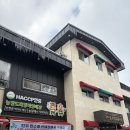 담양 소고기 맛집 참푸른식당 내돈내산 후기