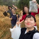 난산리-3 이미지