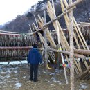 노랑태해장국 | 전국 생산량의 70% 하늘이 내린다는 황태가 생산되는 용대리황태덕장 인제먹거리 인제여행