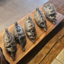 해를 담다 이미지