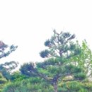 소사농원 이미지