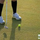 그린필드 컨트리클럽 | 제주 그린필드gc 부킹 제주도 1인 골프조인 예약후기