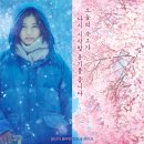 포레스트 이미지