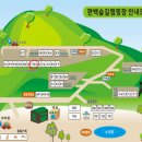 통영 편백숲길 관광농원 이미지