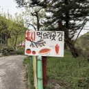 홍시먹으러곶감 이미지