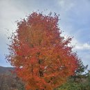 워커힐공인중개사사무소 이미지