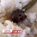 학교식당
