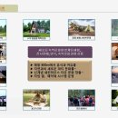 평창스위스마을 이미지