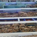 동해대게직판장 이미지