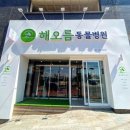 해오름동물병원 이미지