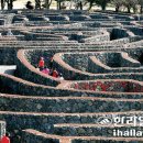 농업회사법인(주)메이즈랜드 이미지